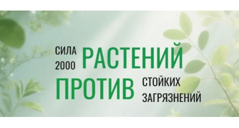 Сила 2000 растений в каждом средстве