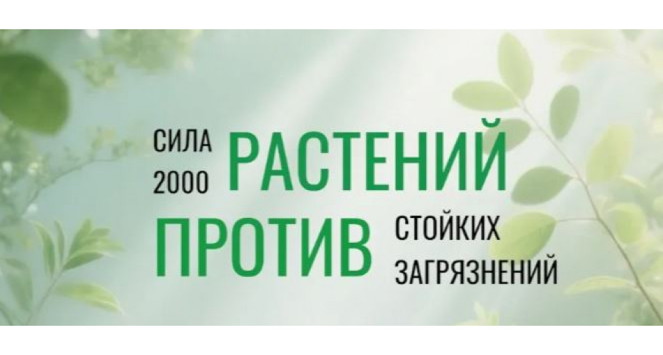 Сила 2000 растений в каждом средстве